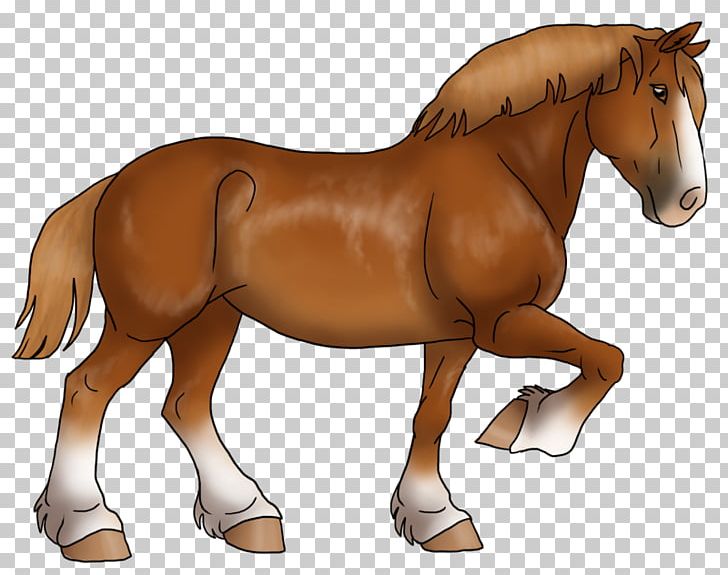 Stallion Mustang Foal Mare Pony PNG, Clipart, Arabian Horse, Biscuit, Bridle, Butter, Colt Free PNG Download