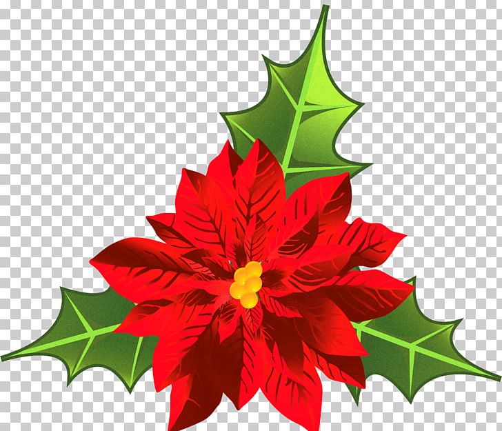 Poinsettia Christmas Plants Flower Christmas Decoration PNG, Clipart, Christmas, Christmas Candy, Christmas Decoration, Christmas Eve, Christmas Lights Free PNG Download