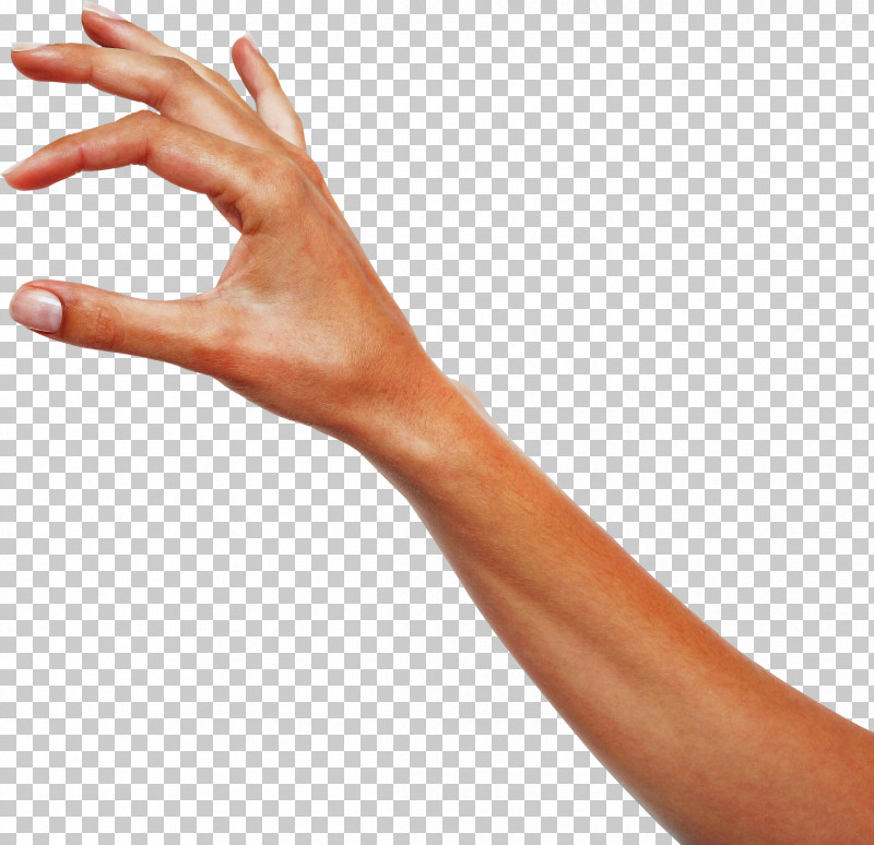 Finger Hand Arm Skin Joint PNG, Clipart, Arm, Elbow, Finger, Gesture, Hand Free PNG Download