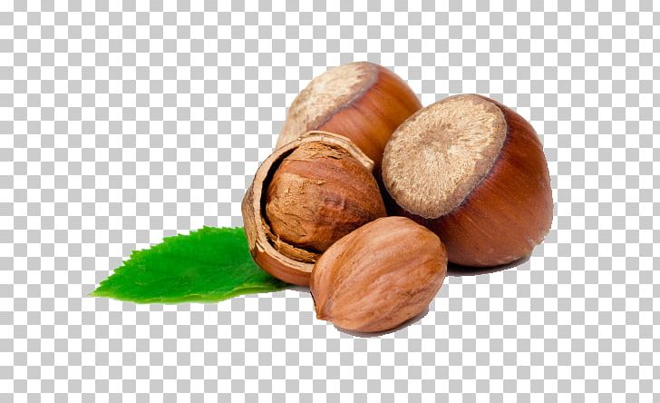 Hazelnut Food Flavor PNG, Clipart, Acorn And Flowers, Acorn Border, Acorn Forest, Acorns, Acorns In Hand Free Photo Free PNG Download