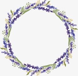 Lavender Wreath PNG, Clipart, Lavender, Lavender Clipart, Purple, Wreath, Wreath Clipart Free PNG Download