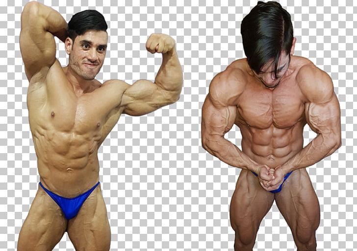 Muscle Tissue Bodybuilding Human Body Nutrient PNG, Clipart, Abdomen, Arm, Bodybuilder, Bodybuilding, Body Man Free PNG Download