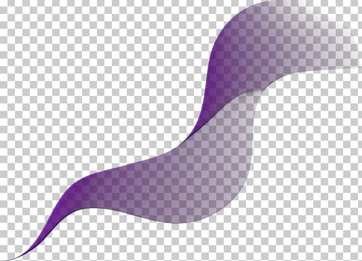 Photography PNG, Clipart, Abstract, Beak, Bird, Clothing, Download Free PNG Download