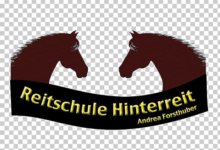 Reitschule Hinterreit PNG, Clipart, Animal, Brand, Ecommerce, Education, Equestrian Free PNG Download