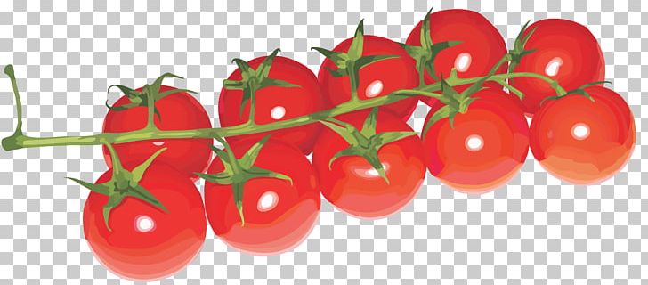 Cherry Tomato PNG, Clipart, Bush Tomato, Cherry, Diet Food, Exercise, Fitness Free PNG Download