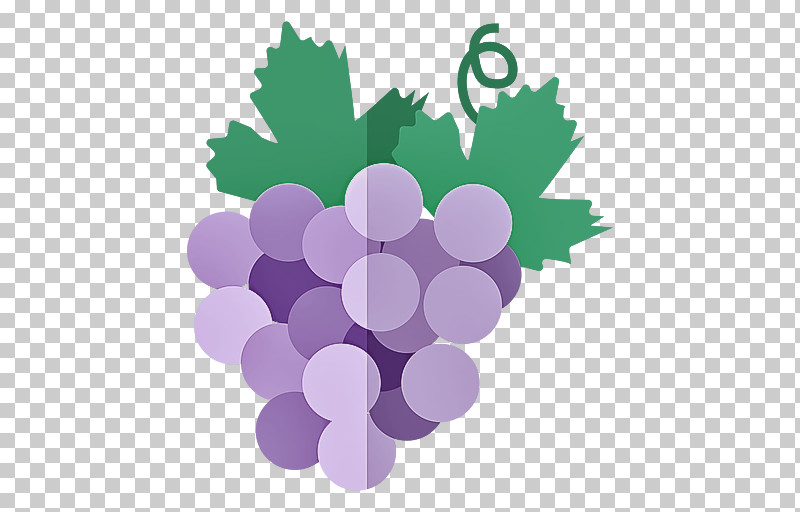 Grape Grapevine Family Purple Vitis Violet PNG, Clipart, Circle, Fruit, Grape, Grape Leaves, Grapevine Family Free PNG Download