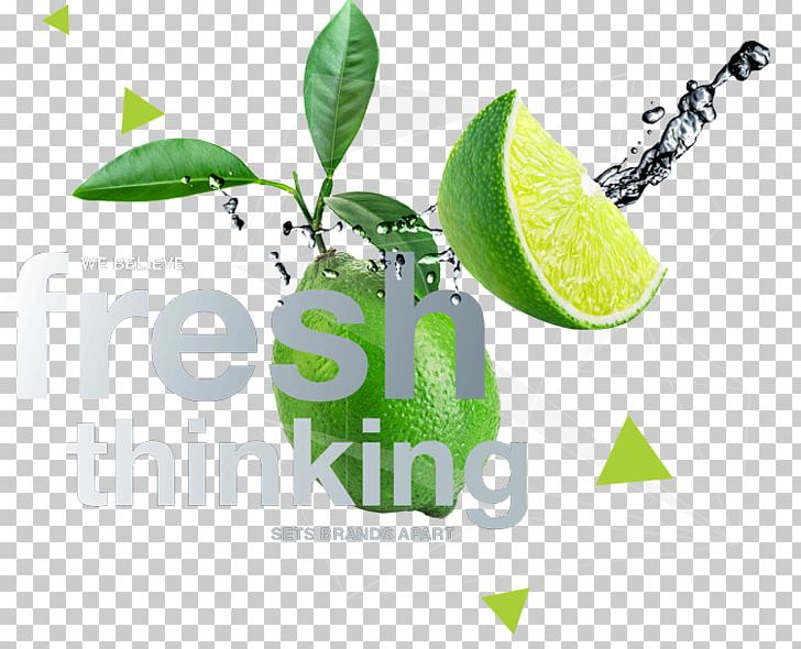 Logo Brand Desktop PNG, Clipart, Art, Brand, Citrus, Computer, Computer Wallpaper Free PNG Download