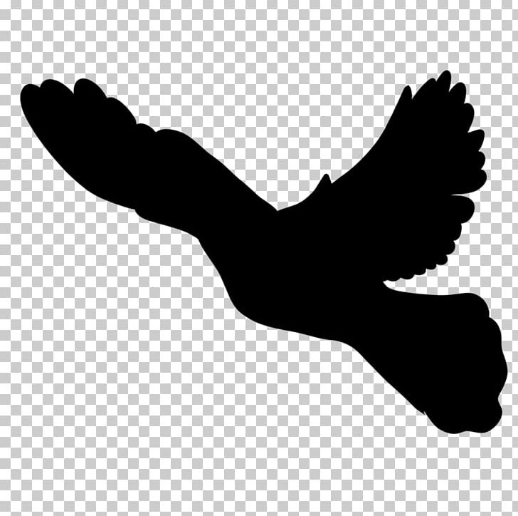 Finger Silhouette Black Beak PNG, Clipart, Animals, Arm, Beak, Bird, Black Free PNG Download