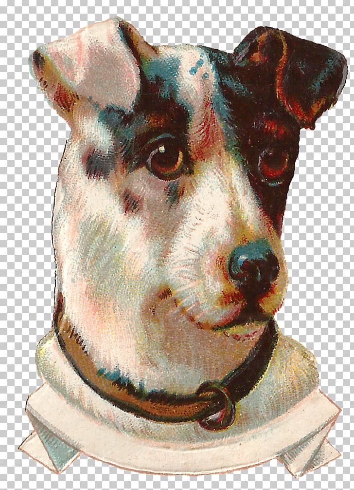 Rat Terrier Dog Breed Pet Dog–cat Relationship PNG, Clipart, Art, Breed, Carnivoran, Dog, Dog Breed Free PNG Download