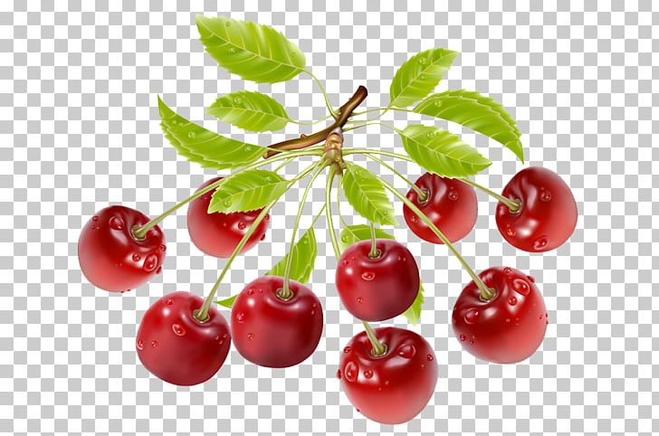 Strawberry Fruit Vegetable PNG, Clipart, Acerola, Bilberry, Cherries, Cherry, Cherry Flower Free PNG Download
