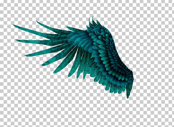 Wing PNG, Clipart, Aqua, Computer Icons, Fantasy, Feather, Fire Free PNG Download
