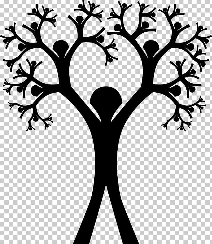 Family Tree Genealogy Ancestor PNG, Clipart, Ancestry, Artwork, Black And White, Branch, Excite Free PNG Download