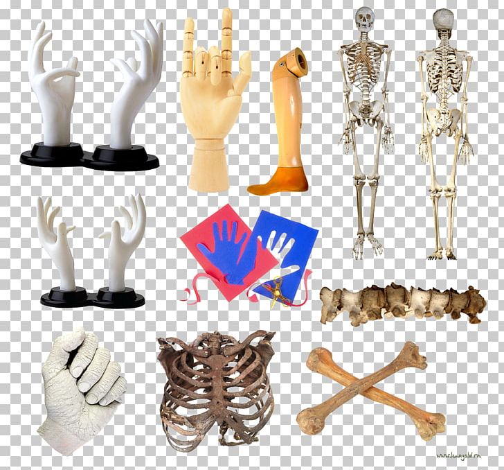 Finger Mannequin PNG, Clipart, Arm, Art, Bone, Finger, Hand Free PNG Download