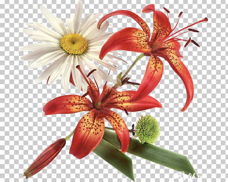 Flower Adobe Photoshop Psd Portable Network Graphics PNG, Clipart, Cut Flowers, Digital Image, Flora, Floral Design, Floristry Free PNG Download