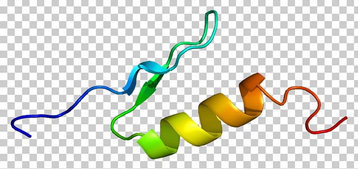 Activating Transcription Factor 2 Activator PNG, Clipart, Activate, Activator, Atf, Atf 2, Cell Free PNG Download