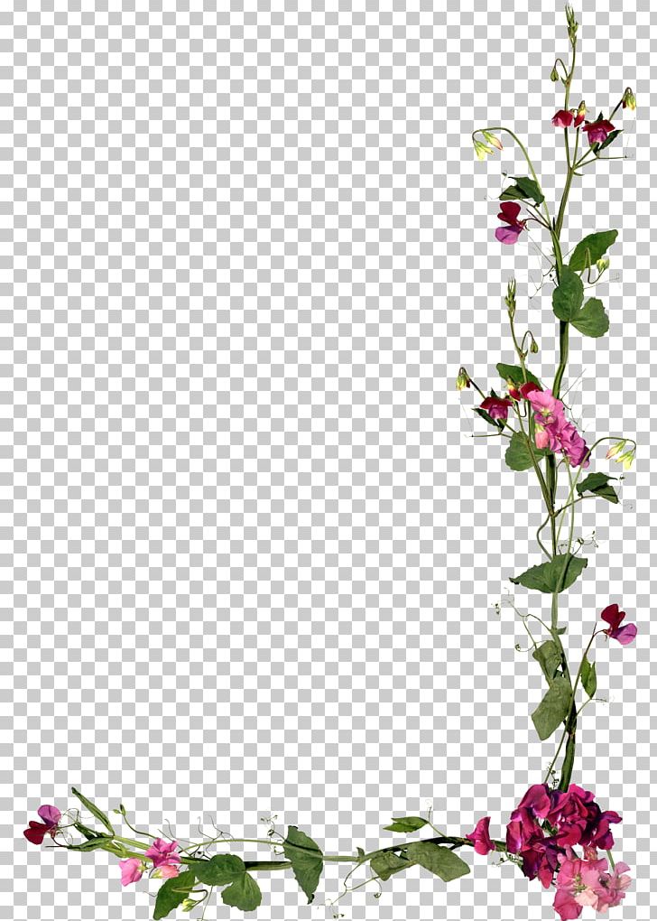 Frames PNG, Clipart, Art, Blossom, Border Decoration, Branch, Cut Flowers Free PNG Download