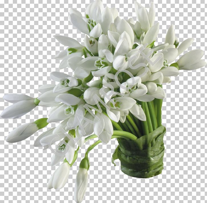 Snowdrop Flower Bouquet Desktop PNG, Clipart, Cut Flowers, Desktop Wallpaper, Digital Image, Display Resolution, Flower Free PNG Download