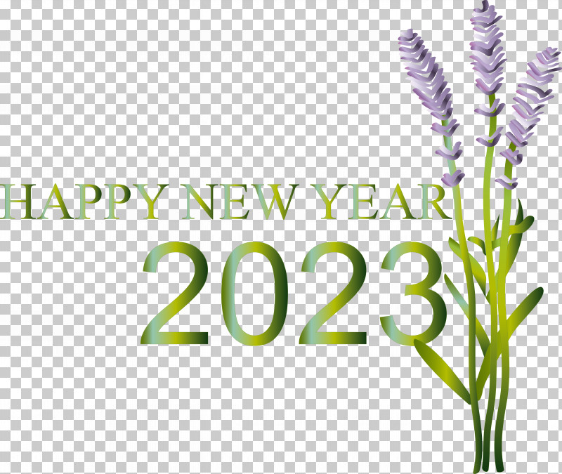 Lavender PNG, Clipart, Commodity, Flower, Grasses, Herb, Herbal Medicine Free PNG Download