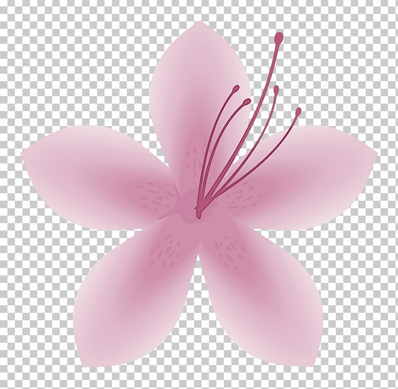 Azalea Spring Flower Azalea Flower PNG, Clipart, Azalea, Azalea Flower, Flower, Hibiscus, Petal Free PNG Download