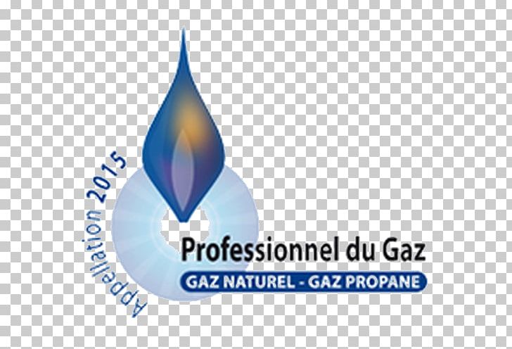 Berogailu Natural Gas Boiler Professional PNG, Clipart, 24 H, Afacere, Agree, Berogailu, Boiler Free PNG Download