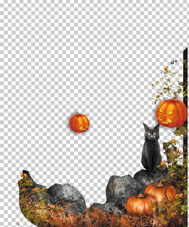 Halloween Pumpkin Decoration Jack-o-lantern PNG, Clipart, Cat, Christmas Decoration, Cucurbita, Decor, Decoration Free PNG Download