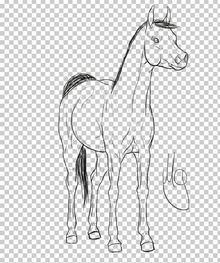 Mule Mustang Foal Colt Stallion PNG, Clipart, Animal, Animal Figure, Artwork, Black And White, Bridle Free PNG Download