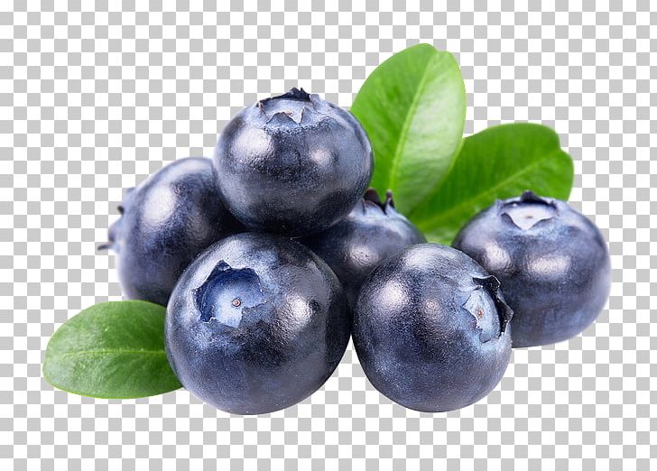 European Blueberry Berries Food PNG, Clipart, Berries, Berry, Bilberry, Black Berry, Blueberries Free PNG Download