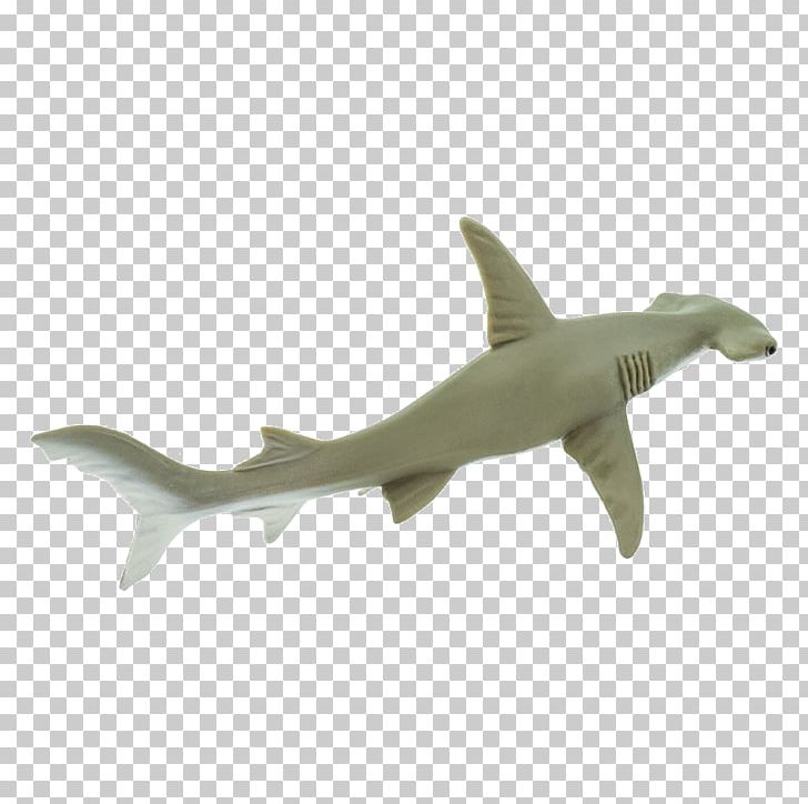 Requiem Sharks Hammerhead Shark Great Hammerhead Scalloped Hammerhead PNG, Clipart, Animal, Animals, Bonnethead, Carcharhiniformes, Cartilaginous Fish Free PNG Download