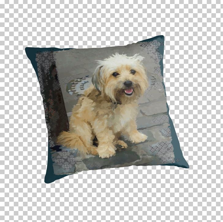 Tibetan Terrier Morkie Schnoodle Yorkshire Terrier Lhasa Apso PNG, Clipart, Animals, Bed, Carnivoran, Couch, Cushion Free PNG Download