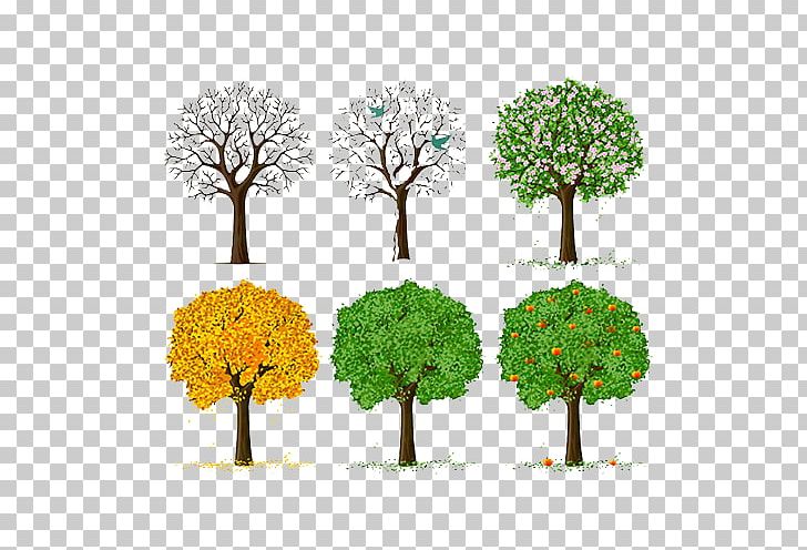 Tree Euclidean Illustration PNG, Clipart, Branch, Download, Drawing, Encapsulated Postscript, Floating Decorative Free PNG Download