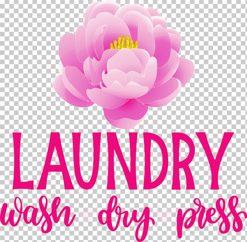Laundry Wash Dry PNG, Clipart, Biology, Cut Flowers, Dry, Floral Design, Flower Free PNG Download