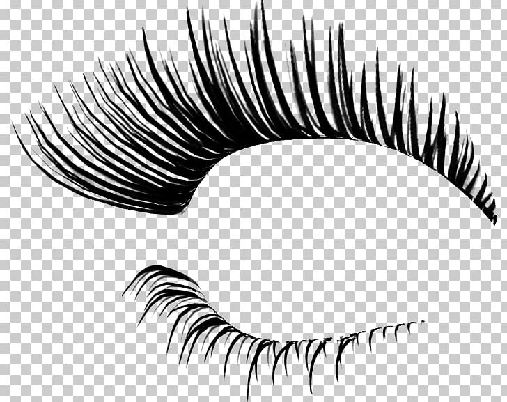 Photography PhotoScape Eyelash Extensions PNG, Clipart, Avatan, Avatan Plus, Beauty, Black And White, Brush Free PNG Download