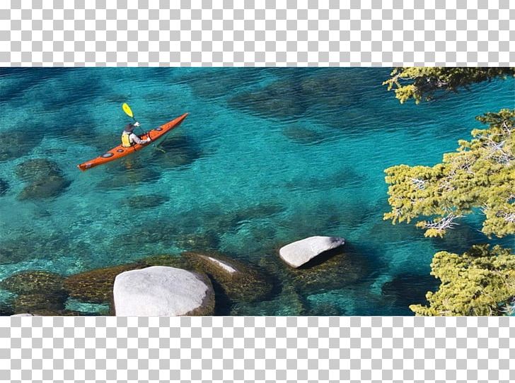 South Lake Tahoe Kings Beach Kayak Phang Nga Bay PNG, Clipart, Bass Lake California, Beach, Coral Reef Fish, Desktop Wallpaper, Ecosystem Free PNG Download
