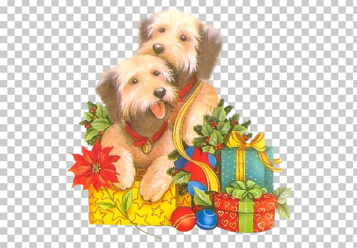 Yorkshire Terrier Norfolk Terrier Puppy Christmas Ornament Maltese Dog PNG, Clipart, 3d Magnolia, Animaatio, Animals, Carnivoran, Christmas Free PNG Download