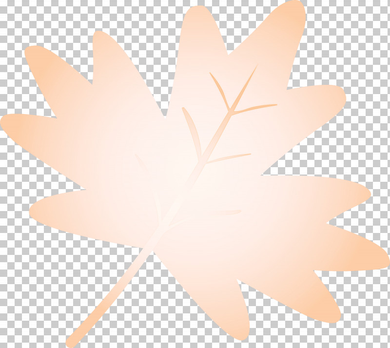 Maple Leaf PNG, Clipart, Finger, Hand, Leaf, Maple Leaf, Petal Free PNG Download