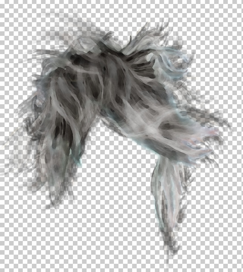 Feather PNG, Clipart, Blackandwhite, Feather, Hair, Long Hair, Paint Free PNG Download
