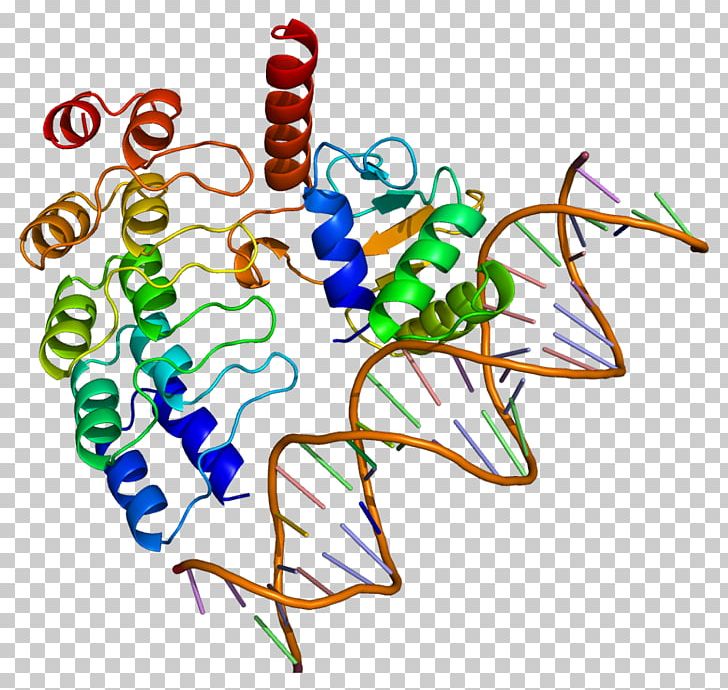 GABPA Protein Structure NFE2L2 PNG, Clipart, Area, Artwork, Biomolecular Structure, Gene, Graphic Design Free PNG Download