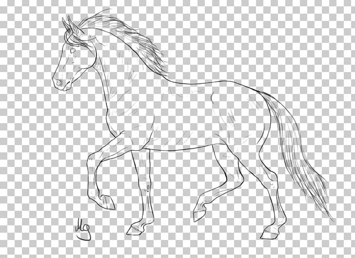 American Quarter Horse Mustang Pony Stallion Colt PNG, Clipart, American Quarter Horse, Animal, Animal Figure, Artwork, Black And White Free PNG Download