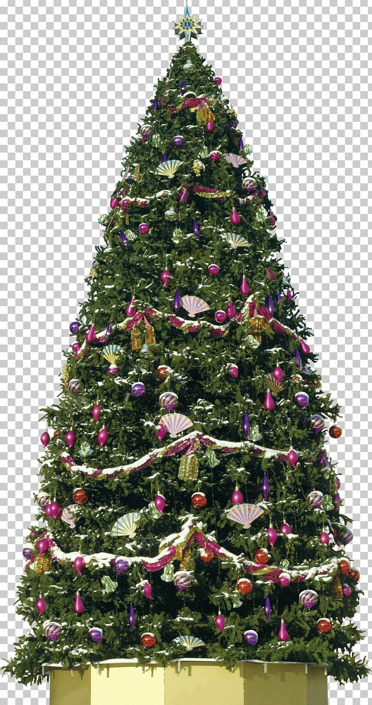 Christmas Tree New Year Tree Christmas Ornament PNG, Clipart, Christmas, Christmas Decoration, Christmas Ornament, Christmas Tree, Conifer Free PNG Download