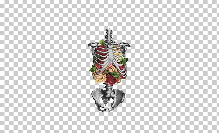 Flower Human Skeleton Lung Anatomy Skull PNG, Clipart, Anat, Body Jewelry, Bone, Bronchus, Collage Free PNG Download