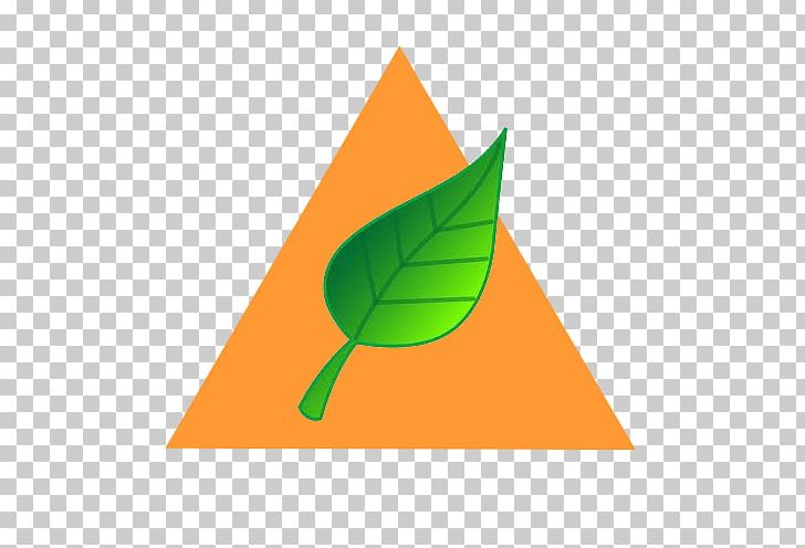 Leaf Green Angle PNG, Clipart, Angle, Grass, Green, Leaf, Line Free PNG Download