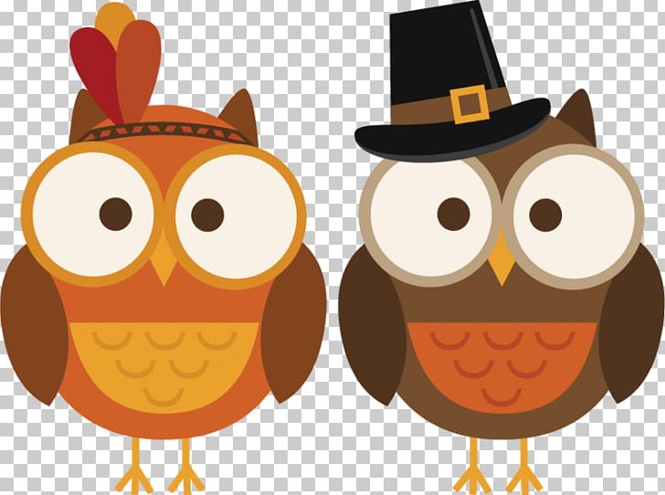 Owl Thanksgiving Cuisine Of The United States Turkey PNG, Clipart, Autumn, Beak, Bird, Bird Of Prey, Cricut Free PNG Download
