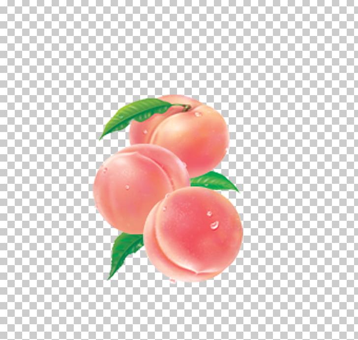 Nectarine Prunus Nigra Fruit Food PNG, Clipart, Apple, Cartoon, Cream, Diet Food, Download Free PNG Download