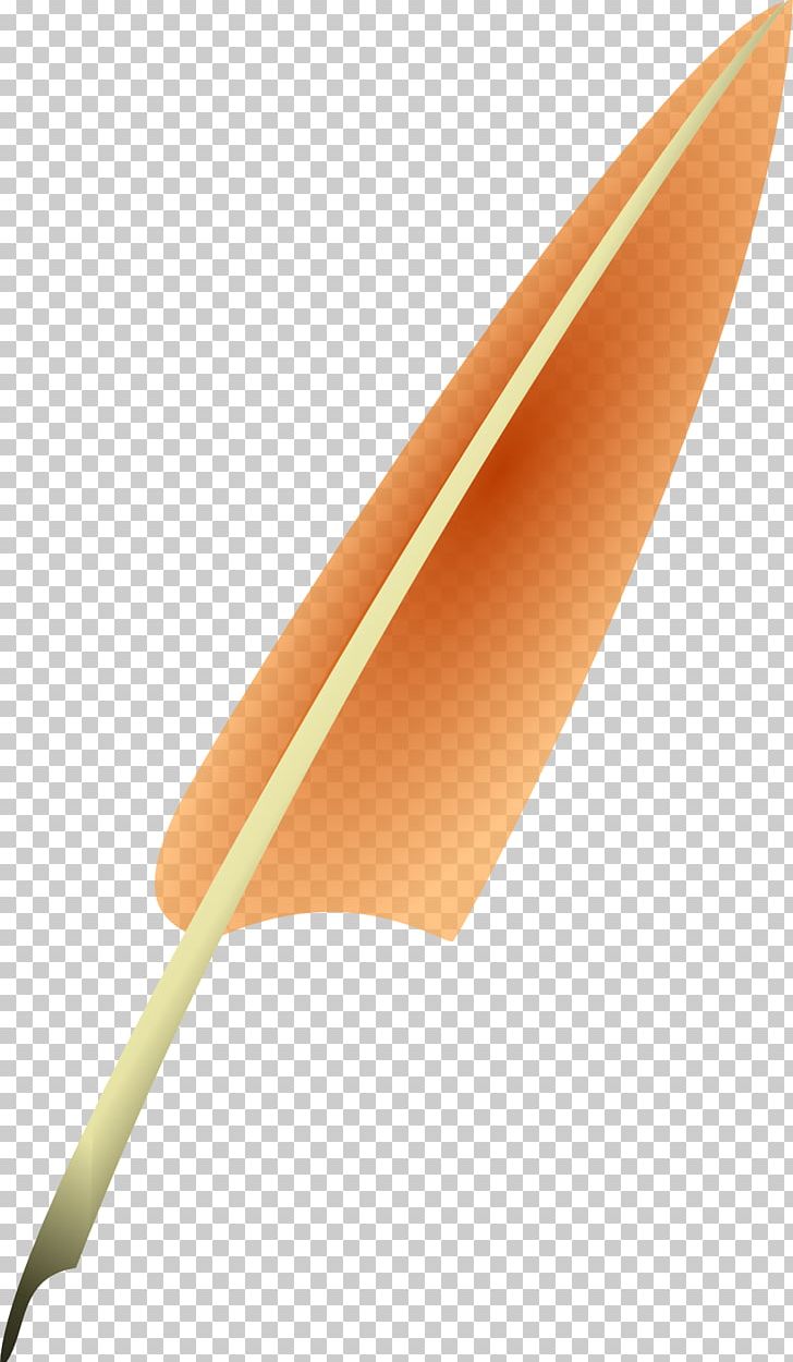 Feather Euclidean Pen PNG, Clipart, Angle, Animals, Brown, Decoration, Digital Image Free PNG Download