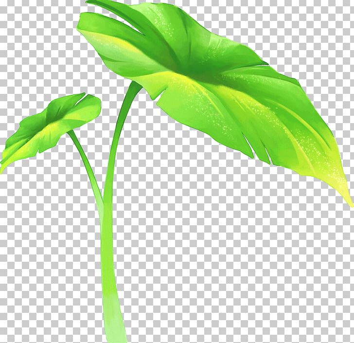 Leaf Lotus Effect Desktop PNG, Clipart, Desktop Wallpaper, Display Resolution, Download, Drawing, Flower Free PNG Download