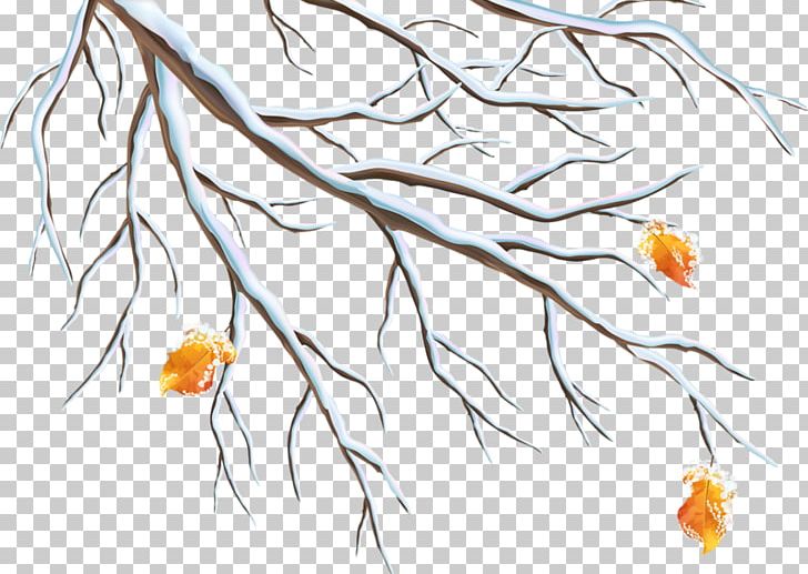 Winter Branch PNG, Clipart, Area, Art, Branches, Christmas Tree, Deadwood Free PNG Download