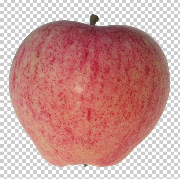 Pink Apple Red Cripps Pink PNG, Clipart, Apple, Apple Red, Cripps Pink, Food, Fruit Free PNG Download