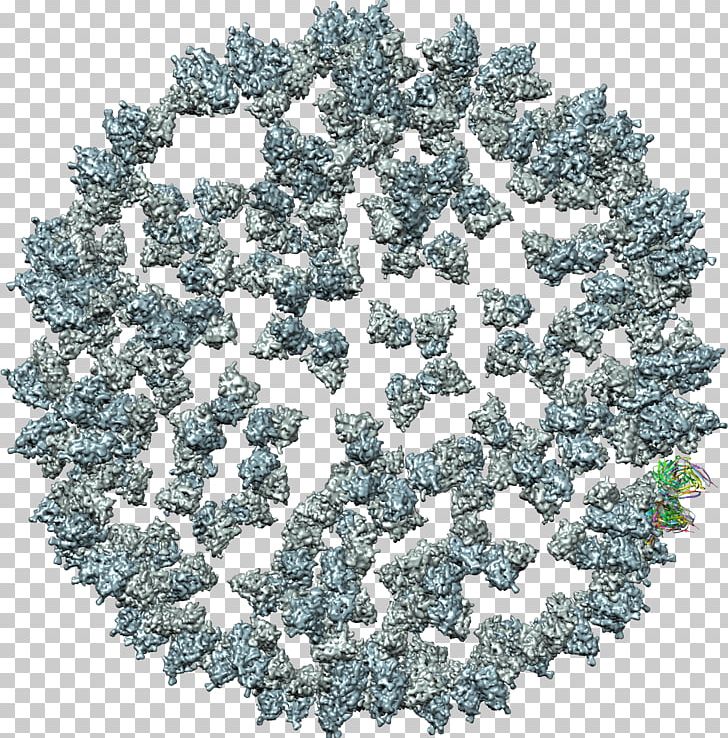 Tree PNG, Clipart, Tobacco Mosaic Virus, Tree Free PNG Download