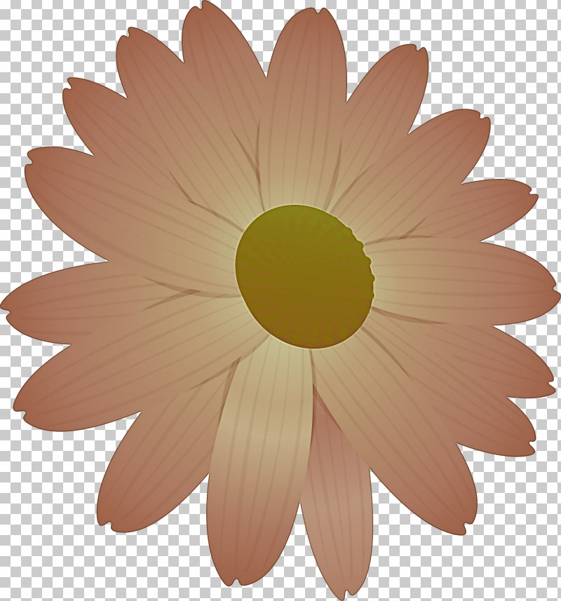 Marguerite Flower Spring Flower PNG, Clipart, Asterales, Barberton Daisy, Camomile, Chamomile, Cut Flowers Free PNG Download
