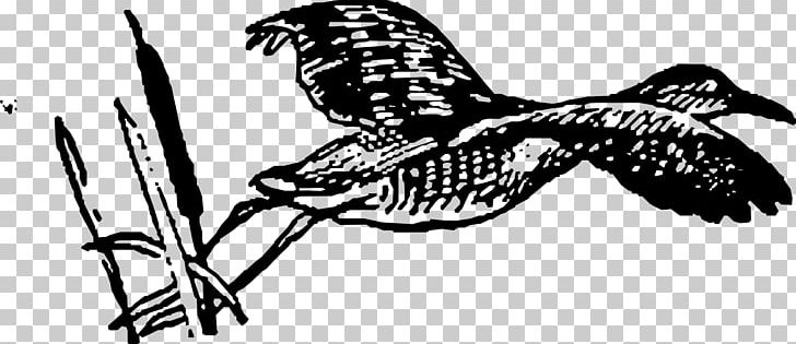 Line Art Drawing Bird PNG, Clipart, Animals, Art, Beak, Bird, Bird Flight Free PNG Download